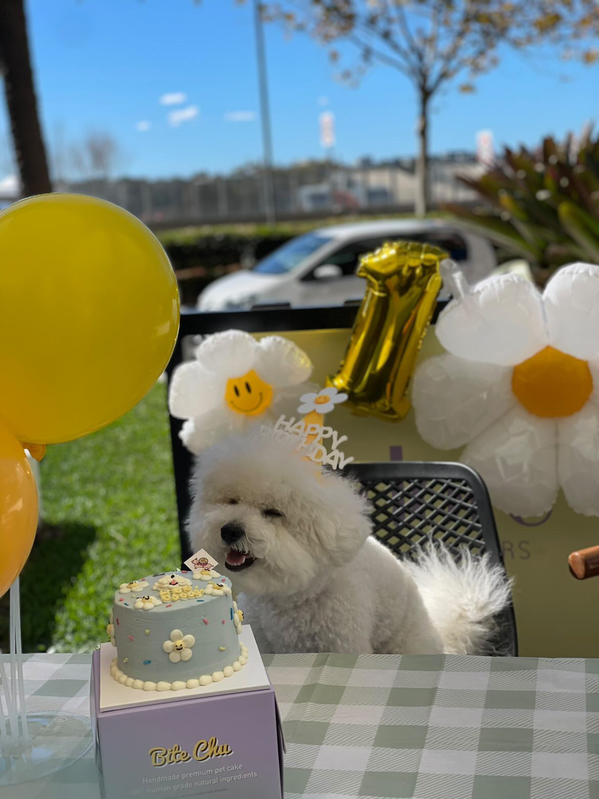 Daisy Cake