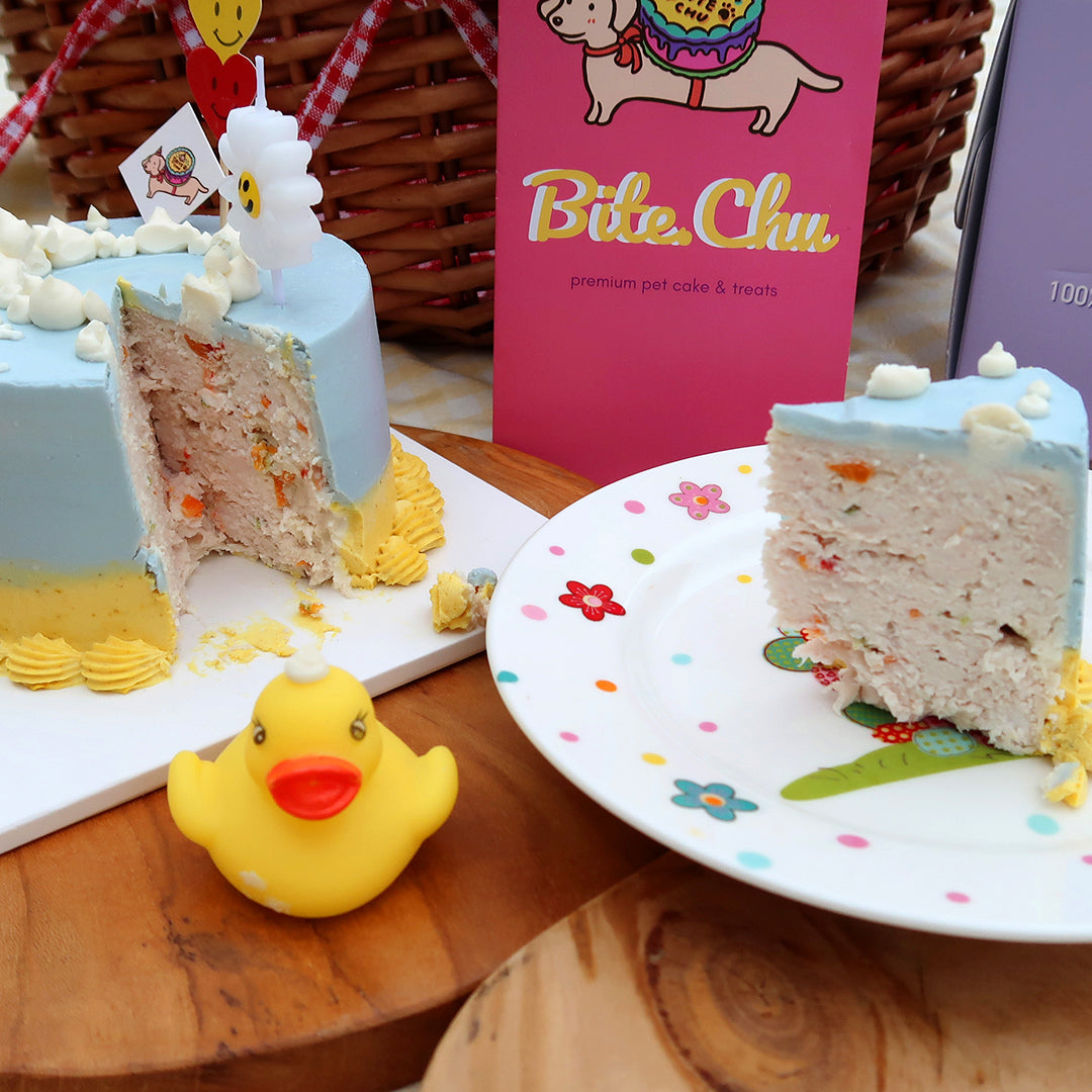 Bubble Duck Cake