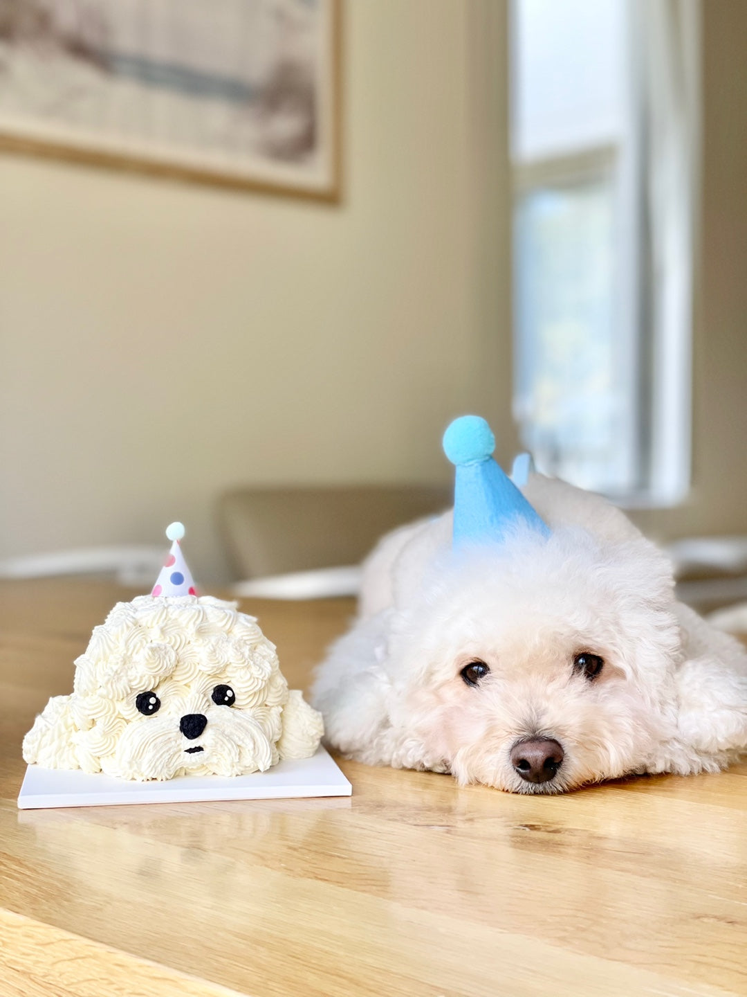 Fluffy Dog Cake