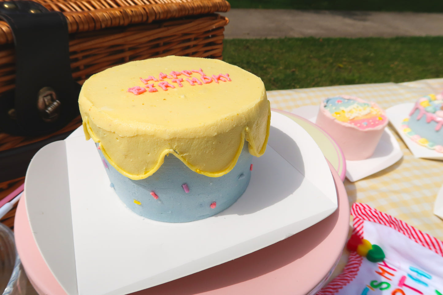 Ice Cream Melting Cake